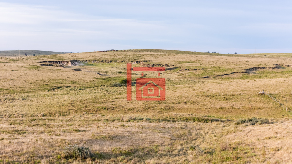 Campo Ref.1110 - Venta campo 120 hectáreas, Garzón , Maldonado 