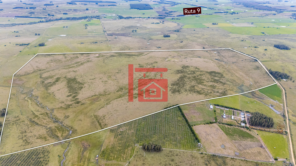 Campo Ref.1110 - Venta campo 120 hectáreas, Garzón , Maldonado 