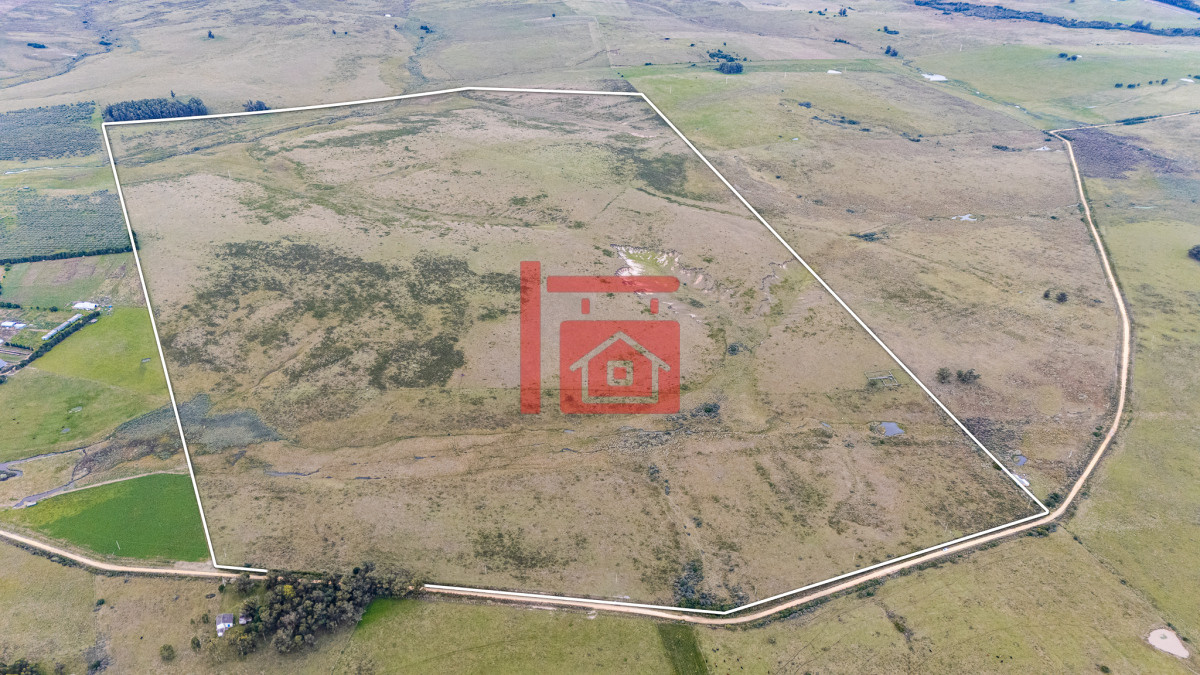 Campo Ref.1110 - Venta campo 120 hectáreas, Garzón , Maldonado 