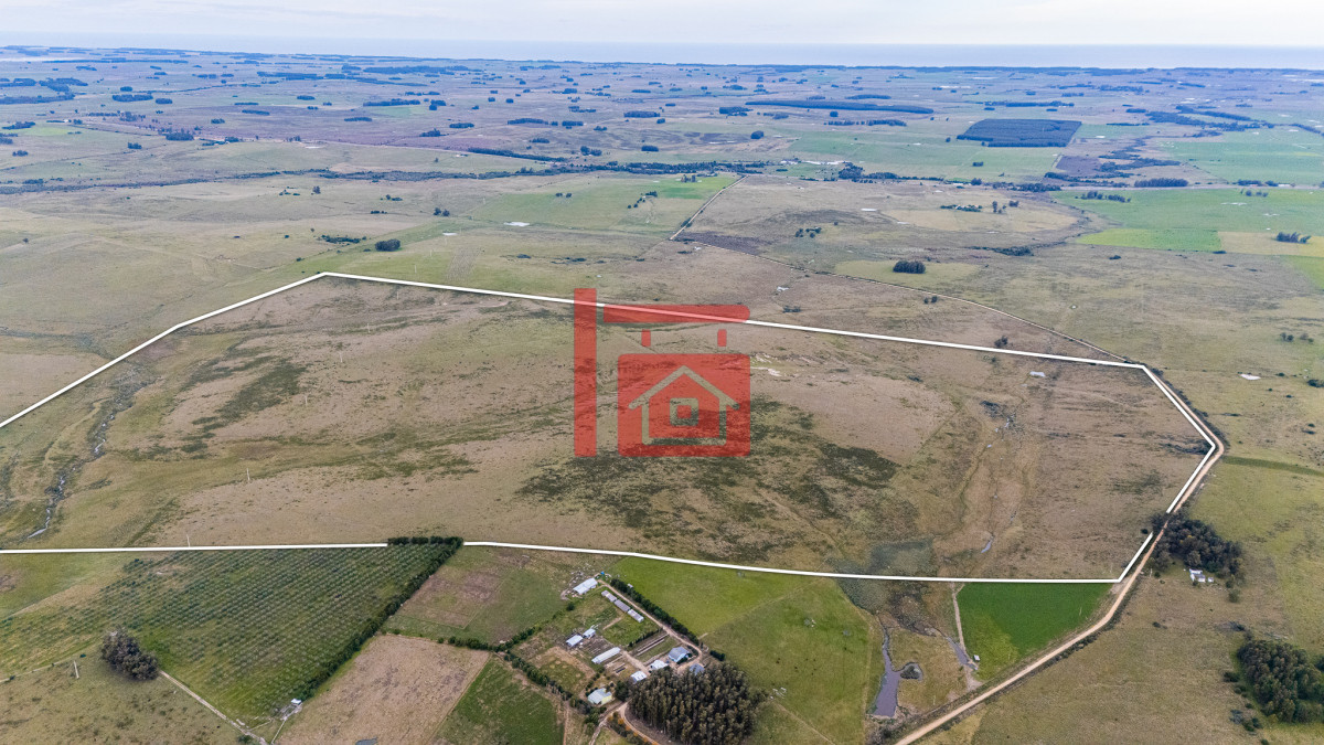 Campo Ref.1110 - Venta campo 120 hectáreas, Garzón , Maldonado 
