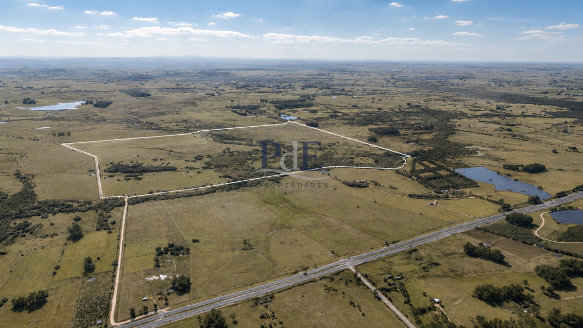 Venta de campo 161 has en Ruta 9, José Ignacio, Punta del Este  - Imagen 2