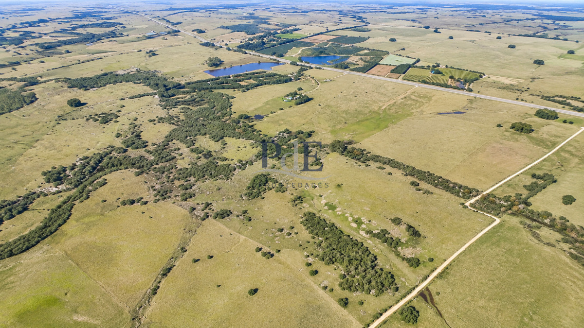 Venta de campo 161 has en Ruta 9, José Ignacio, Punta del Este  - Imagen 3