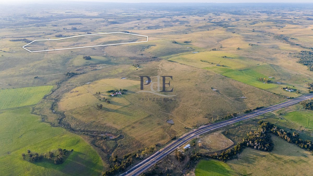 Venta campo 120 hectáreas, Garzón , Maldonado  - Imagen 4