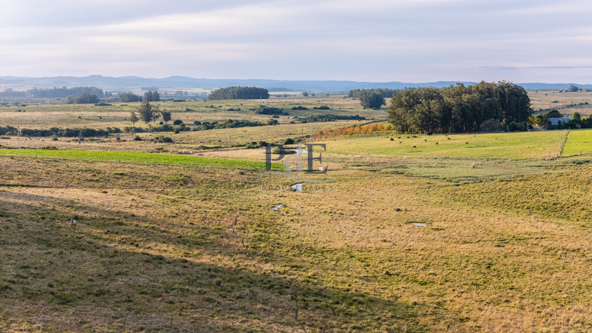 Venta campo 120 hectáreas, Garzón , Maldonado  - Imagen 8