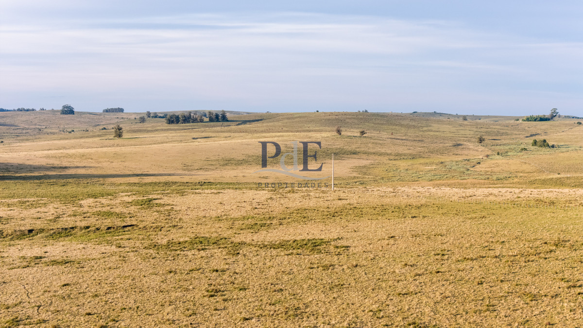 Venta campo 120 hectáreas, Garzón , Maldonado  - Imagen 7