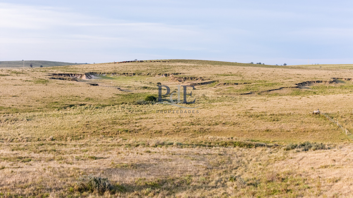 Venta campo 120 hectáreas, Garzón , Maldonado  - Imagen 10