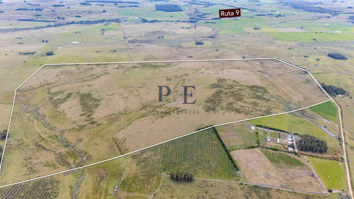 Venta campo 120 hectáreas, Garzón , Maldonado  - Imagen 2