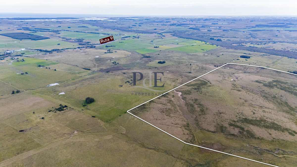 Venta campo 120 hectáreas, Garzón , Maldonado  - Imagen 1