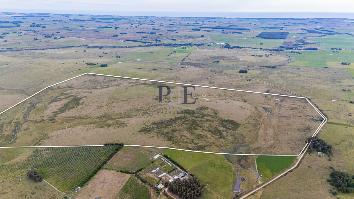 Venta campo 120 hectáreas, Garzón , Maldonado  - Imagen 3