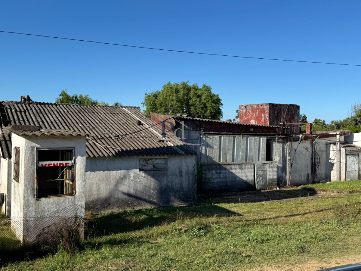 Terreno en venta sobre Ruta 39 | San Carlos - Maldonado - Imagen 2