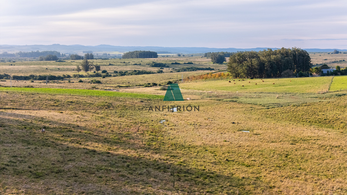 Campo Ref.576 - Venta campo 120 hectáreas, Garzón , Maldonado 