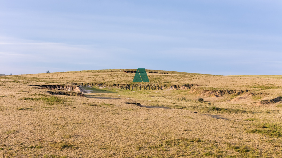 Campo Ref.576 - Venta campo 120 hectáreas, Garzón , Maldonado 