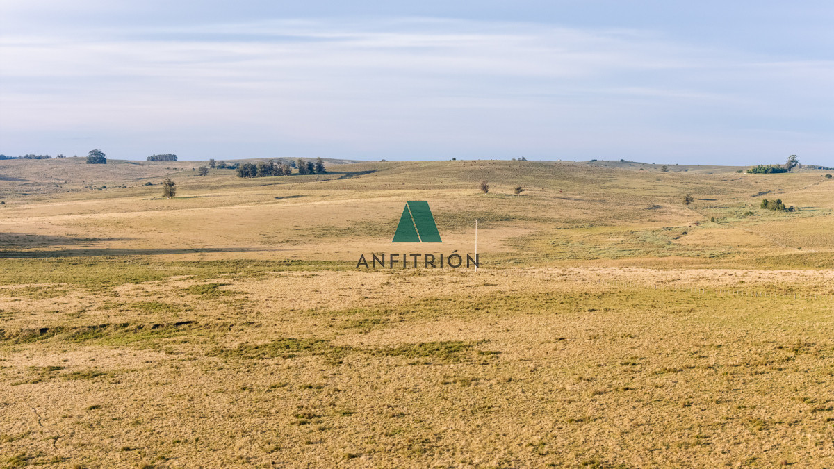 Campo Ref.576 - Venta campo 120 hectáreas, Garzón , Maldonado 