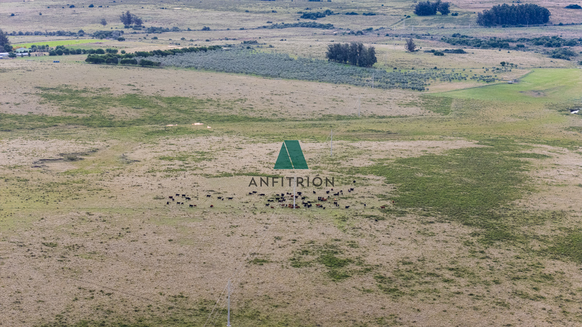 Campo Ref.576 - Venta campo 120 hectáreas, Garzón , Maldonado 