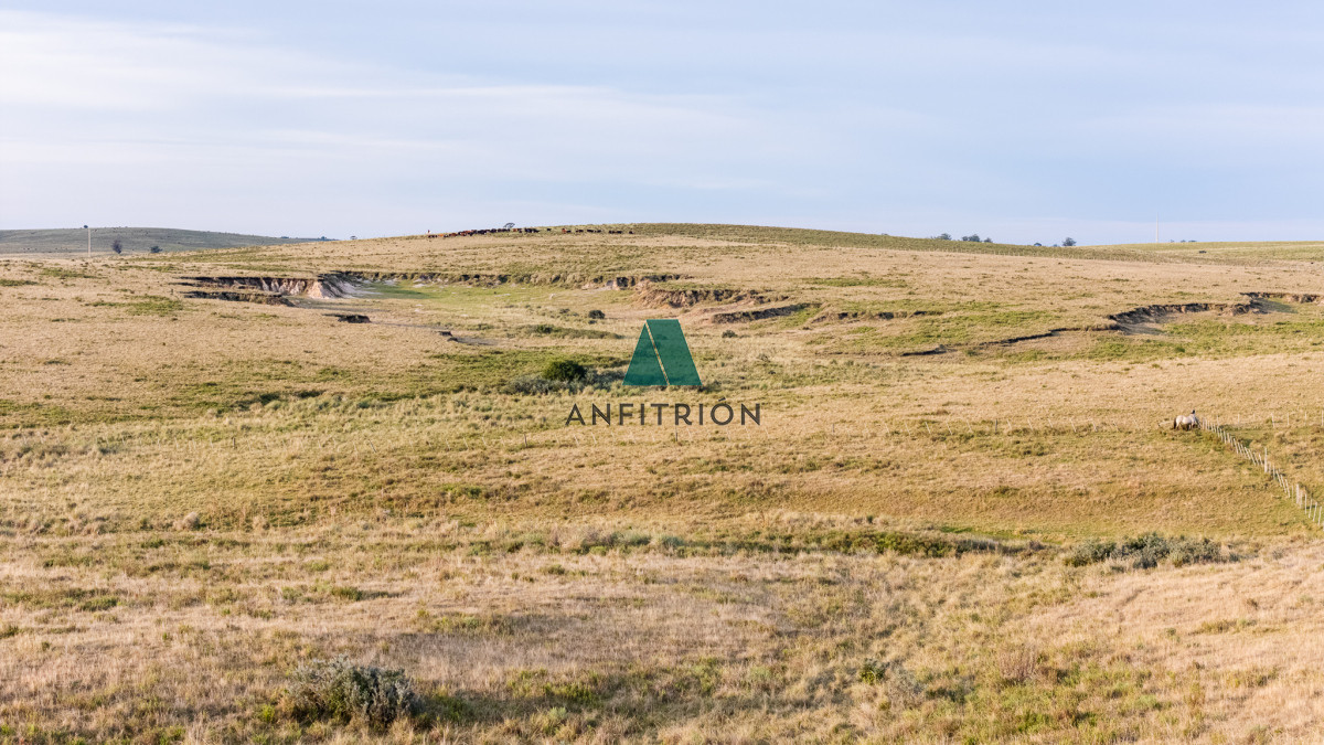 Campo Ref.576 - Venta campo 120 hectáreas, Garzón , Maldonado 