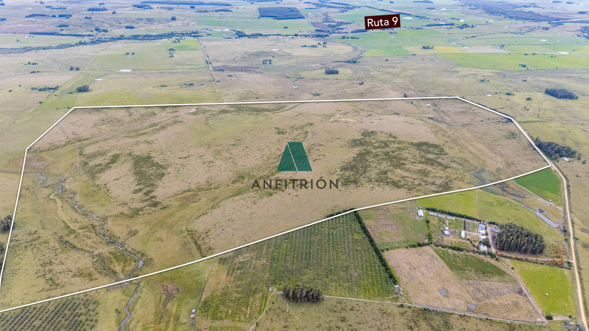 Campo Ref.576 - Venta campo 120 hectáreas, Garzón , Maldonado 