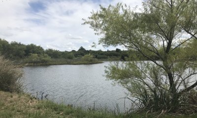 Venta de Chacra sobre ruta 9  a 30 km de Jose Ignacio