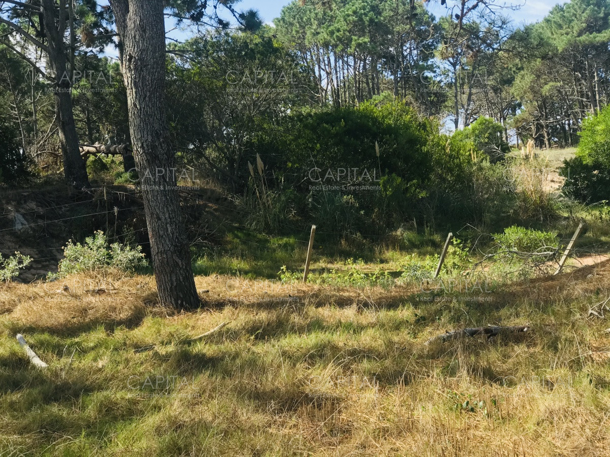 Terreno ID.39889 - Venta terreno esquinero en Manantiales 