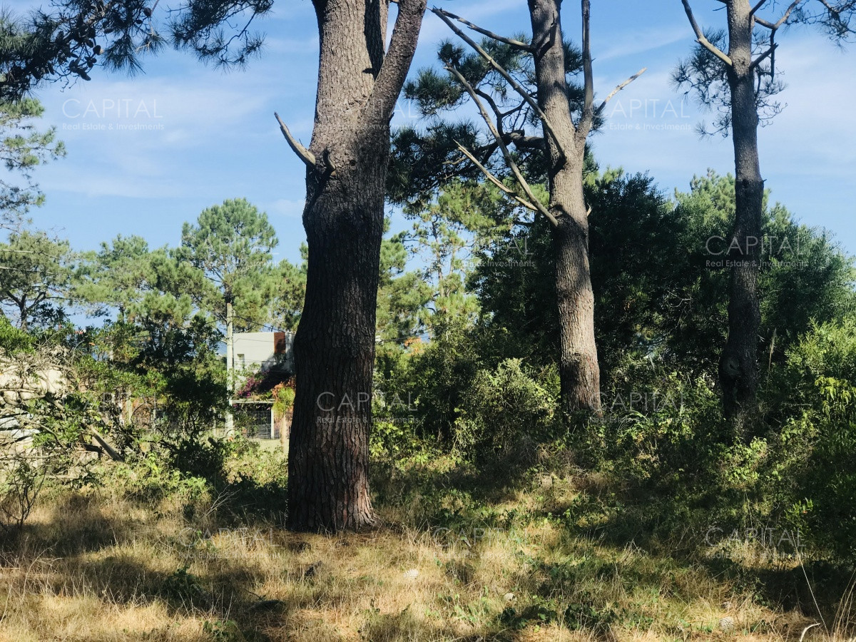 Terreno ID.39889 - Venta terreno esquinero en Manantiales 