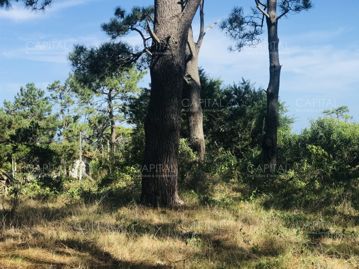 Terreno ID.39889 - Venta terreno esquinero en Manantiales 