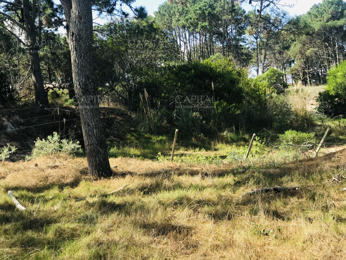 Terreno ID.39889 - Venta terreno esquinero en Manantiales 