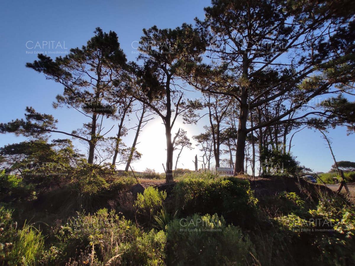 Terreno ID.39889 - Venta terreno esquinero en Manantiales 