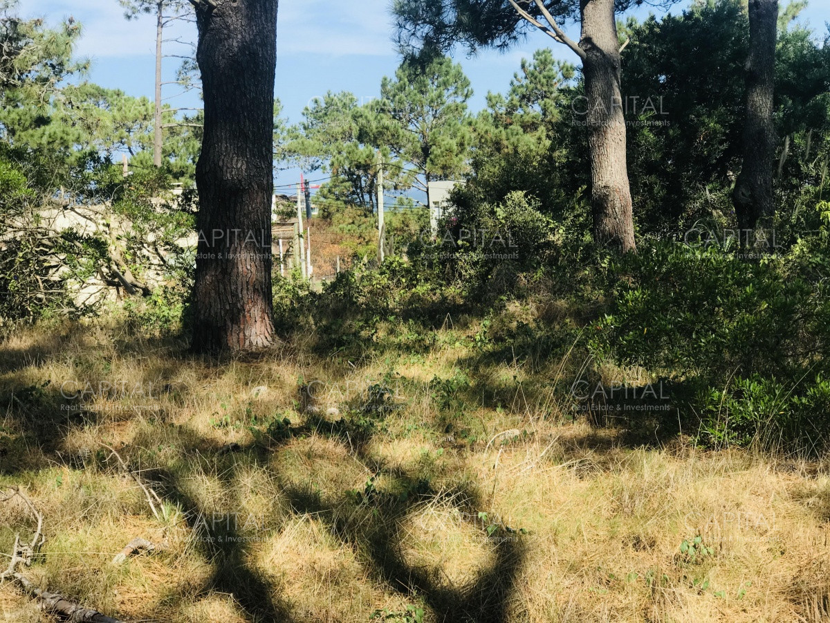 Terreno ID.39889 - Venta terreno esquinero en Manantiales 