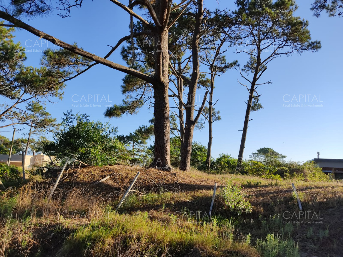 Terreno ID.39889 - Venta terreno esquinero en Manantiales 