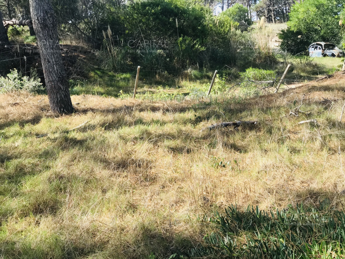 Terreno ID.39889 - Venta terreno esquinero en Manantiales 