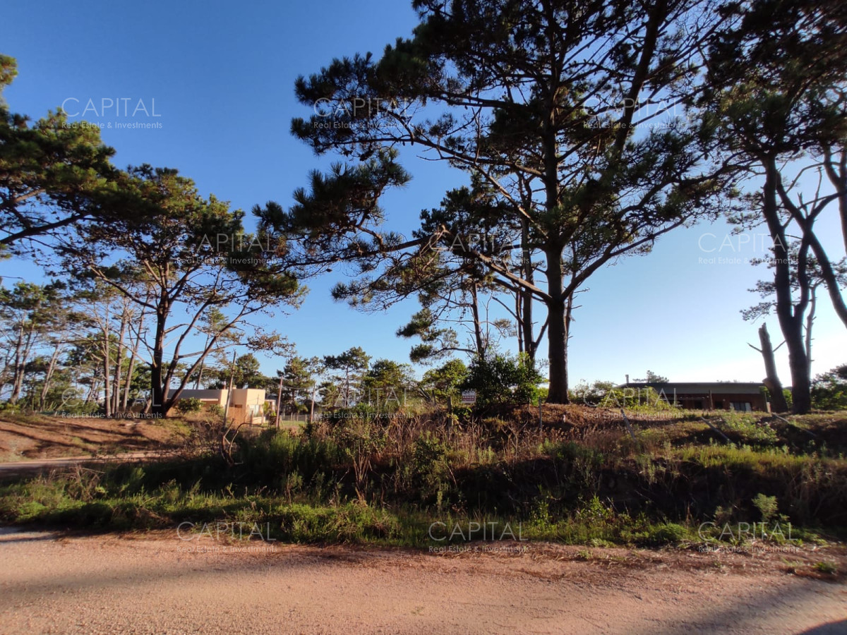 Terreno ID.39889 - Venta terreno esquinero en Manantiales 