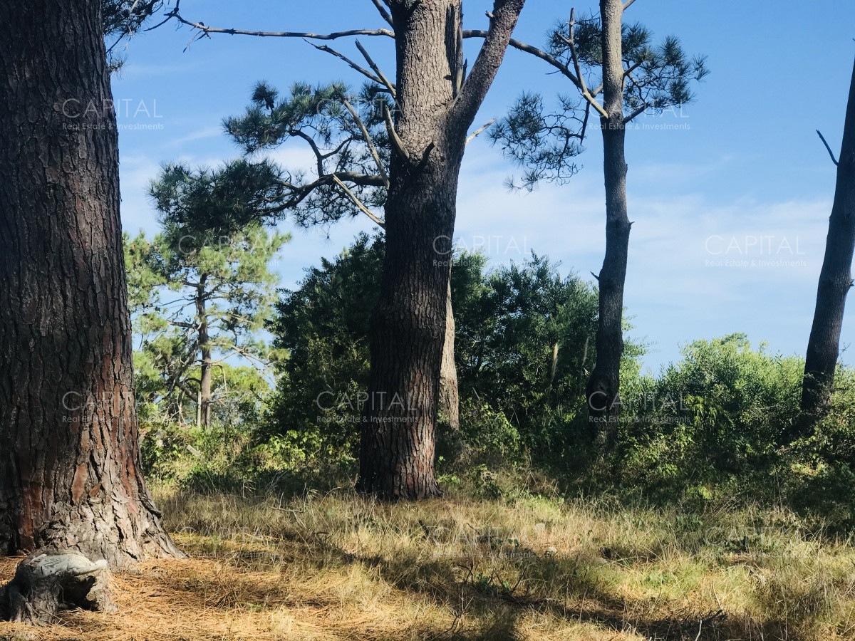 Terreno ID.39889 - Venta terreno esquinero en Manantiales 