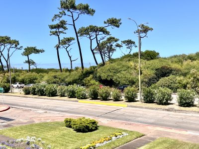 Apartamento Codigo #Alquiler apartamento 2 dormitorios mas dependencia de servicio en Playa Mansa, Punta del Este 