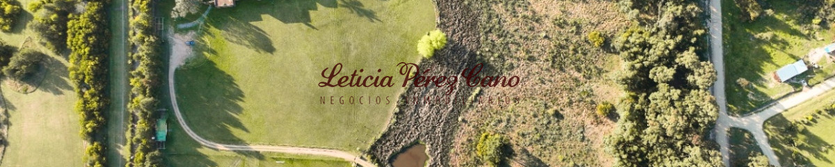Venta y alquiler  chacra en Manantiales, Punta Piedras 9 dormitorios