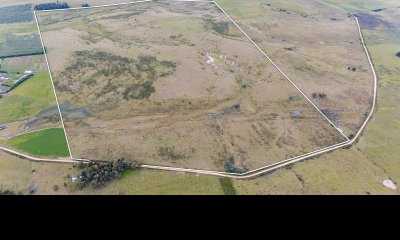 Venta campo 120 hectáreas, Garzón , Maldonado