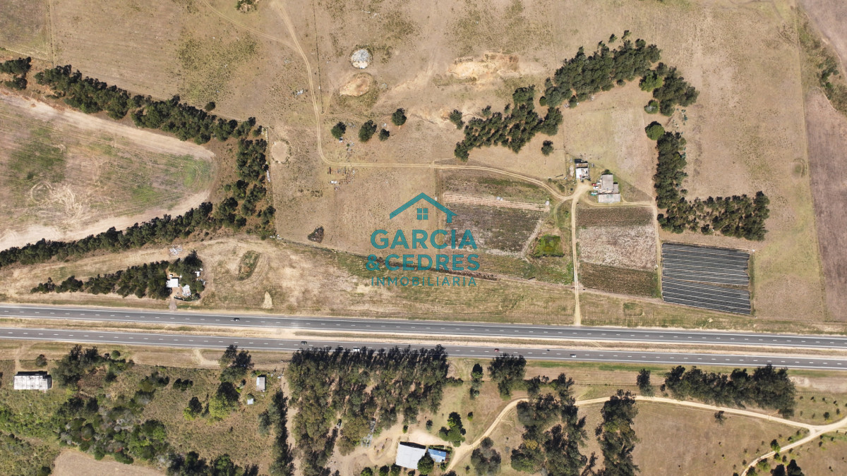 Campo Ref.514 - VENTA 59 Hectáreas sobre Ruta 9 con Vista a José Ignacio.