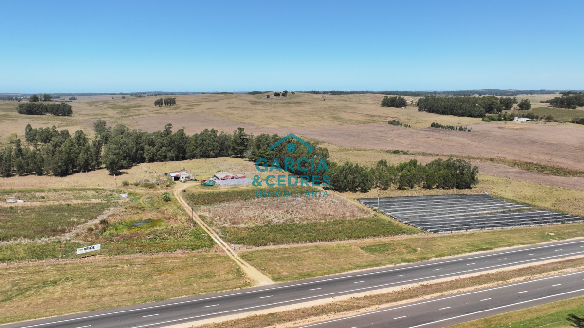 Campo Ref.514 - VENTA 59 Hectáreas sobre Ruta 9 con Vista a José Ignacio.