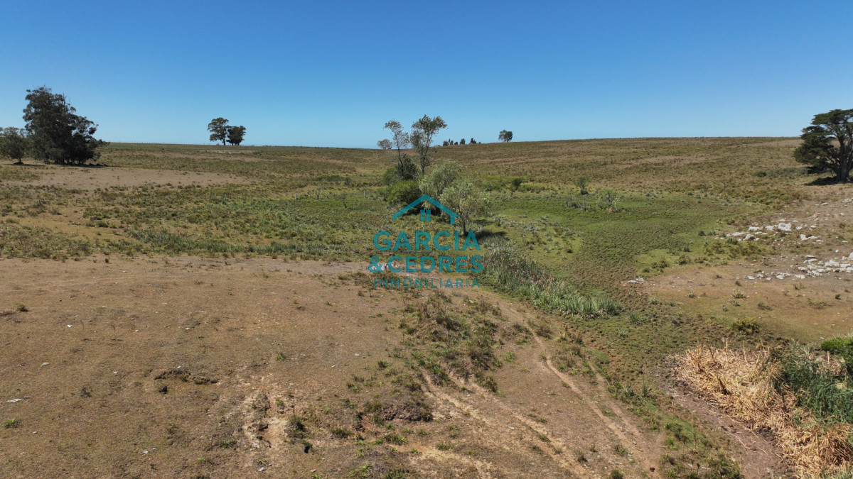 Campo Ref.514 - VENTA 59 Hectáreas sobre Ruta 9 con Vista a José Ignacio.