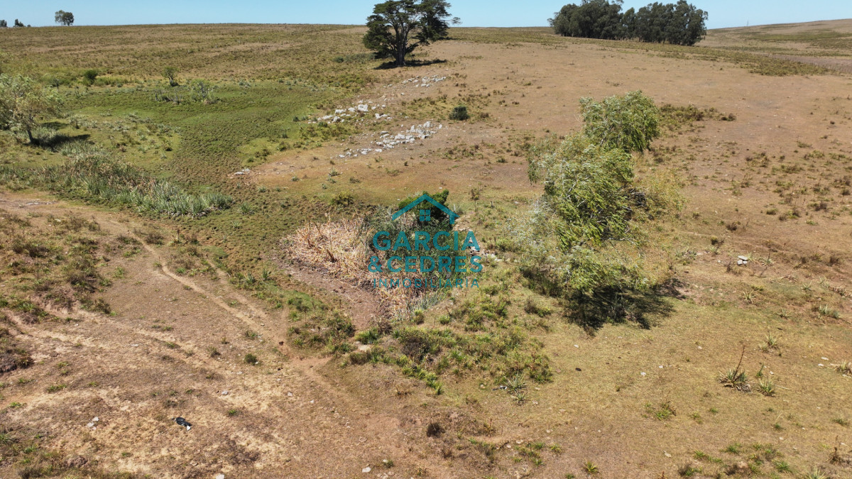 Campo Ref.514 - VENTA 59 Hectáreas sobre Ruta 9 con Vista a José Ignacio.