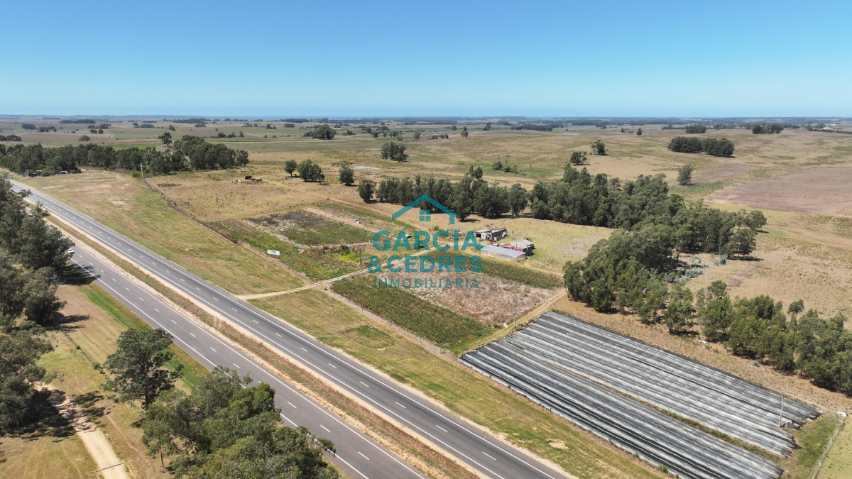 Campo Ref.514 - VENTA 59 Hectáreas sobre Ruta 9 con Vista a José Ignacio.