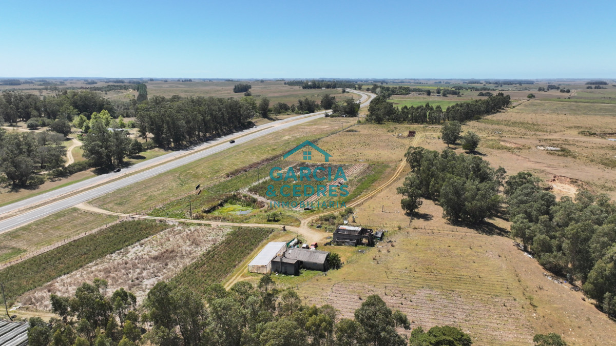 Campo Ref.514 - VENTA 59 Hectáreas sobre Ruta 9 con Vista a José Ignacio.