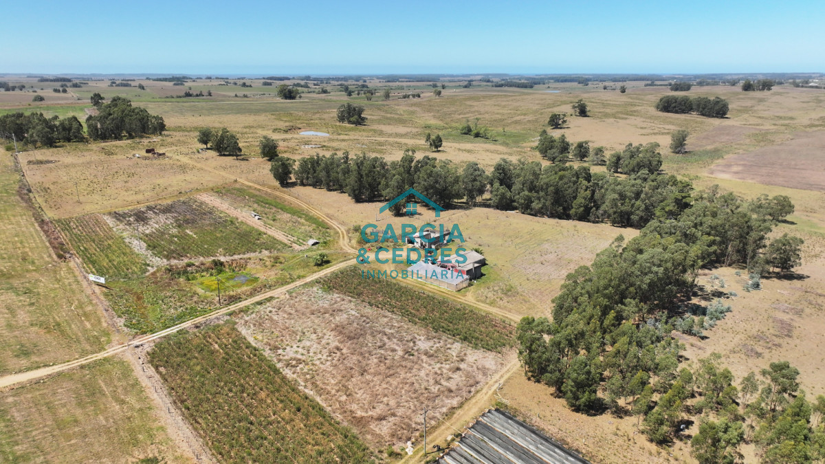 Campo Ref.514 - VENTA 59 Hectáreas sobre Ruta 9 con Vista a José Ignacio.