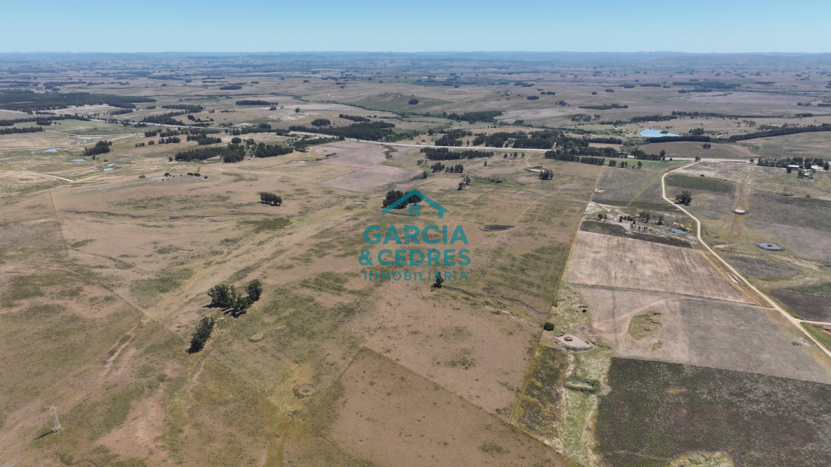 Campo Ref.514 - VENTA 59 Hectáreas sobre Ruta 9 con Vista a José Ignacio.