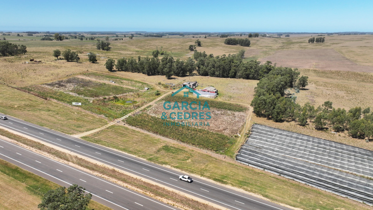 Campo Ref.514 - VENTA 59 Hectáreas sobre Ruta 9 con Vista a José Ignacio.