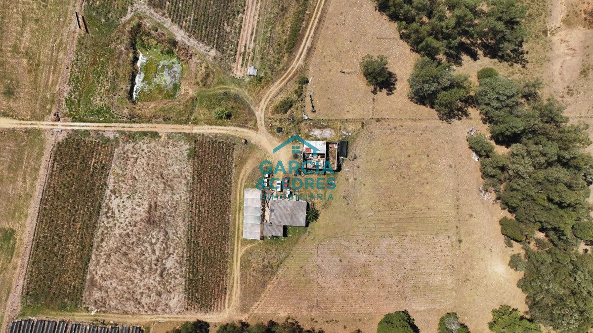 Campo Ref.514 - VENTA 59 Hectáreas sobre Ruta 9 con Vista a José Ignacio.