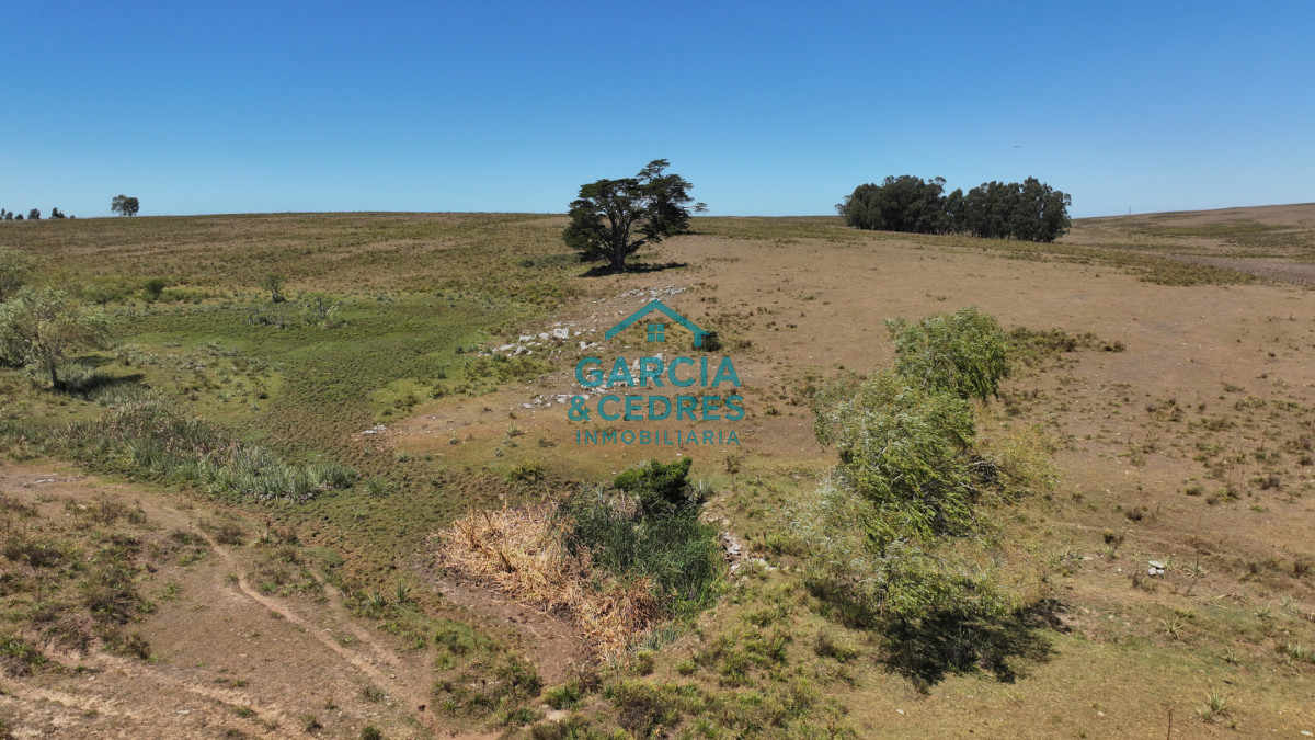 Campo Ref.514 - VENTA 59 Hectáreas sobre Ruta 9 con Vista a José Ignacio.