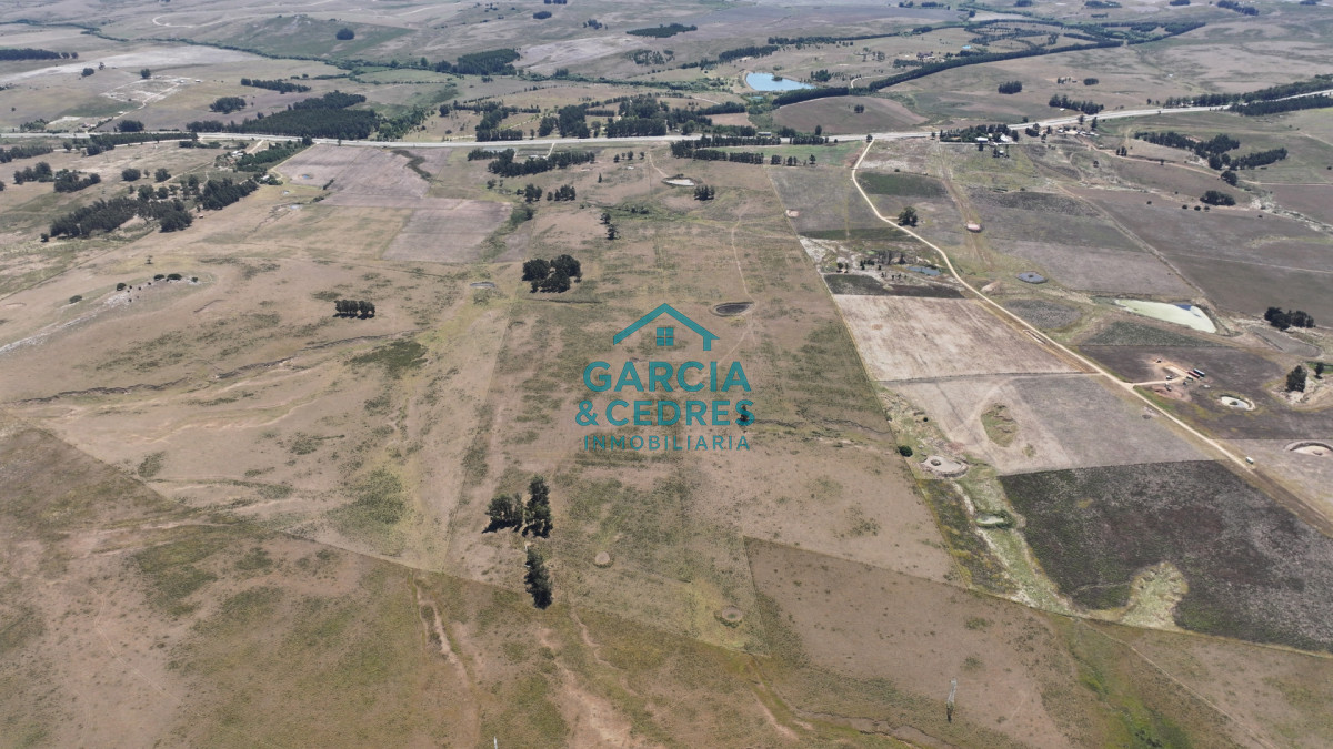 Campo Ref.514 - VENTA 59 Hectáreas sobre Ruta 9 con Vista a José Ignacio.