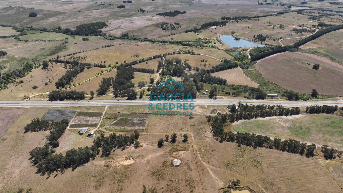 Campo Ref.514 - VENTA 59 Hectáreas sobre Ruta 9 con Vista a José Ignacio.