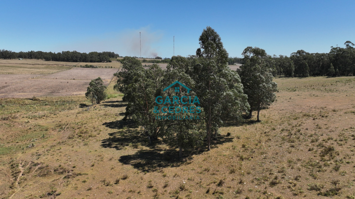 Campo Ref.514 - VENTA 59 Hectáreas sobre Ruta 9 con Vista a José Ignacio.