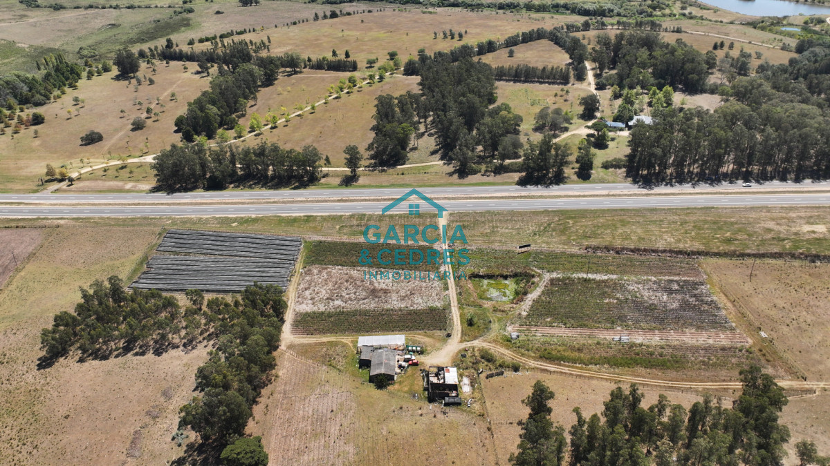Campo Ref.514 - VENTA 59 Hectáreas sobre Ruta 9 con Vista a José Ignacio.