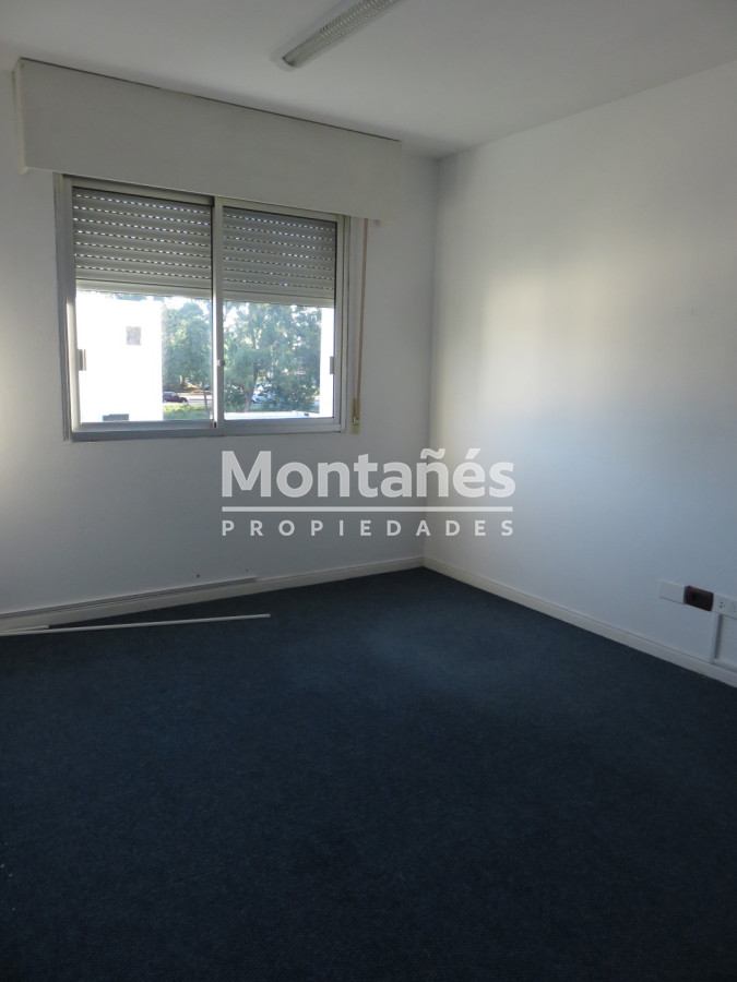 Centro Maldonado - GoPunta - Portal Inmobiliario de Punta del Este - Maldonado